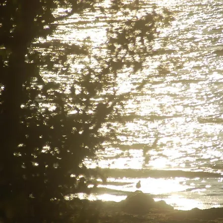 Ostsee-ferienoase-2-raum-app-typ-3